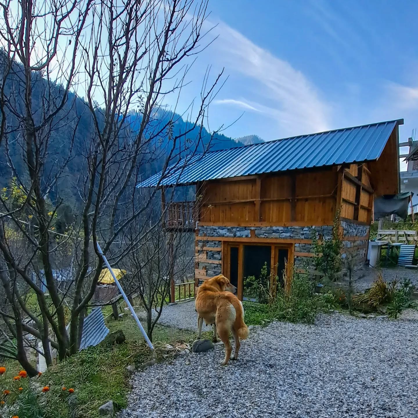 Jibhi Tirthan Stone Cottage Trip – Daily Departure