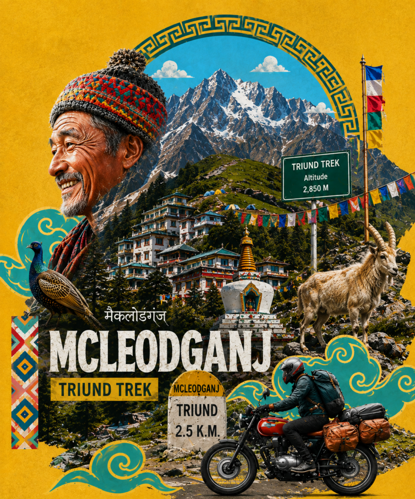 McLeodganj, Dharamshala & Triund Trek — photo 1 of 17